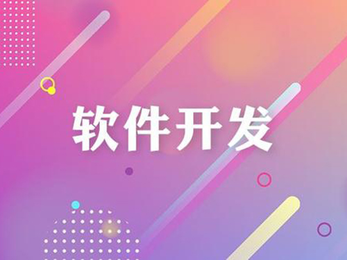 軟件開發,上海軟件定制